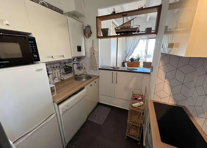 T2 Cabine, Terrasse, Parking Prive, Animaux Acceptes - Fr-1-702-38 Apartment *