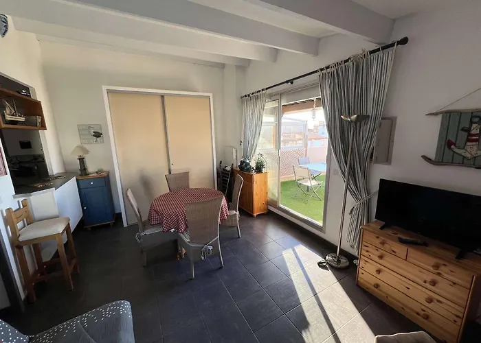 Apartment T2 Cabine, Terrasse, Parking Prive, Animaux Acceptes - Fr-1-702-38 Agde