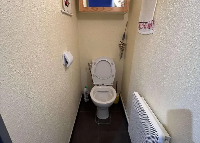 Apartment T2 Cabine, Terrasse, Parking Prive, Animaux Acceptes - Fr-1-702-38