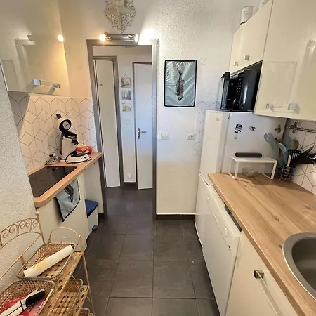 Appartement T2 Cabine, Terrasse, Parking Privé, Animaux Acceptés - Fr-1-702-38 *